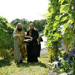 Наместник Киево-Печерской Лавры освятил монастырский виноградник