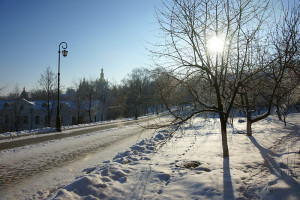 SONY DSC