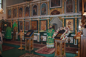 kitaevo2