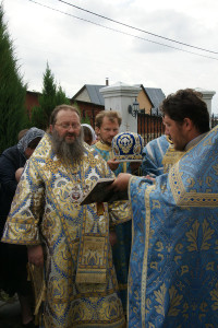 vyshgorod_vladimirskaya10