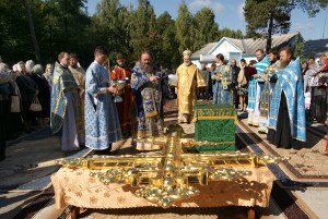 jitomir17
