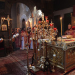 vmchc_varvara1