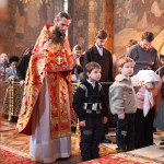 vmchc_varvara13