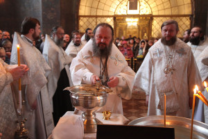 navecheriebogoyavl8
