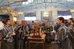 bortnichi20