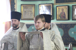 dimeevka14