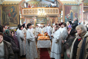 dimeevka23