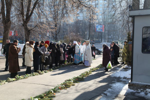 dimeevka3