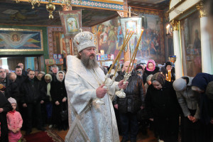 dimeevka7