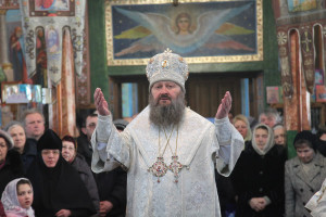 dimeevka9
