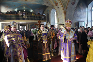 vasilkov3
