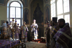 vasilkov6