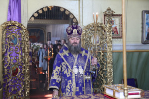 vasilkov8
