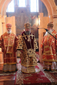 ghitomir31