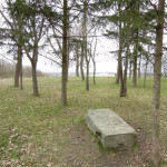 lubechskaya15