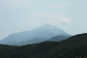 2012_afon30