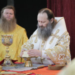 trisvatitelya6