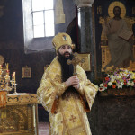 trisvatitelya9