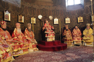 vladimir18