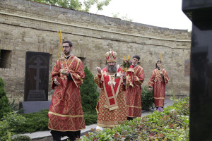 radonica11