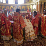 Очередная годовщина Предстоятельского служения Его Блаженства на Кафедре Киевских митрополитов