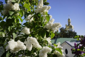 blag_pobeda2