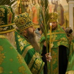 Palm Sunday: Entry of Our Lord into Jerusalem