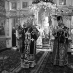 Наместник Лавры возглавил торжества в Каменской епархии
