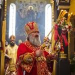 Владыка Павел возглавил торжества во Владимире-Волынском