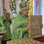 В День Святого Духа возносились молитвы о новопреставленном митрополите Митрофане