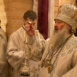 Митрополит Павел почтил память Иоанна Предтечи