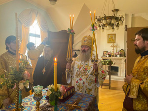 photo_2023-07-12_10-09-30