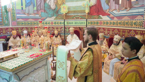 DSC00602-2