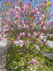 photo_2024-04-12_14-48-21