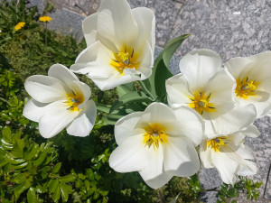 photo_2024-04-12_14-48-22