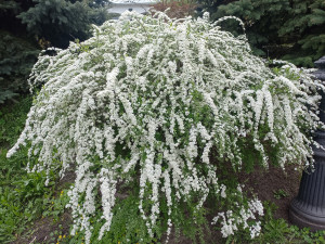 photo_2024-04-13_12-27-33