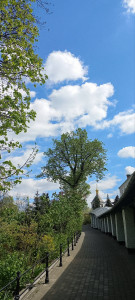 photo_2024-04-13_12-58-10 (2)