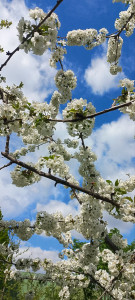 photo_2024-04-13_12-58-17