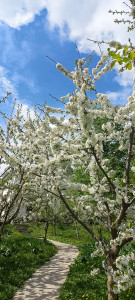 photo_2024-04-13_12-58-17 (2)