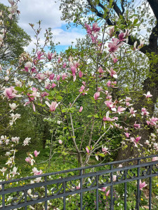 photo_2024-04-13_12-58-20
