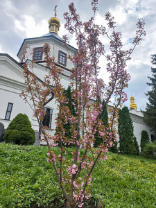 photo_2024-04-13_12-58-21