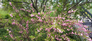 photo_2024-04-13_13-11-34