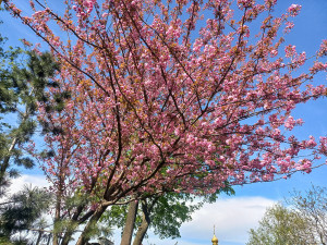 photo_2024-04-13_13-35-44