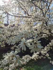 photo_2024-04-13_13-38-06