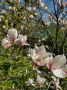 photo_2024-04-13_13-38-07 (2)