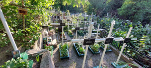 photo_2024-05-13_14-55-42