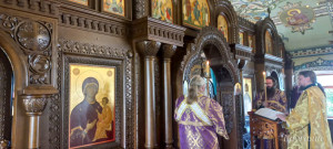 IMG_20240707_094450_202