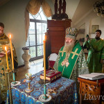 IMG_20241218_122455_379