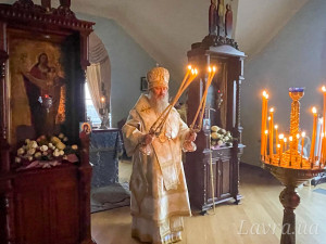 IMG_20241219_115009_677