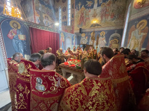 photo_23_2024-12-17_14-00-09